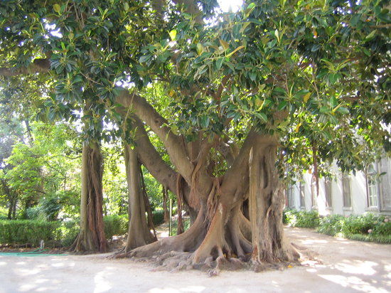 Natural History Museum and Botanical Garden